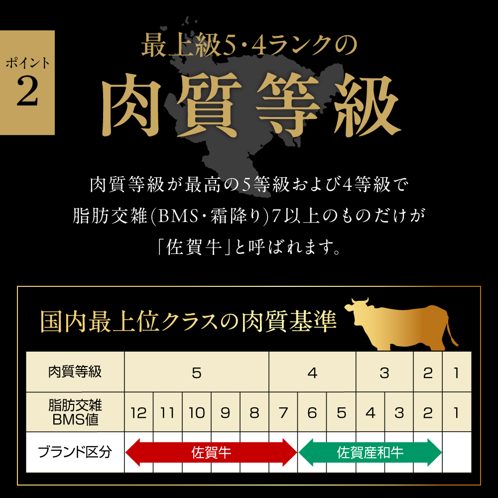 A5 A4 佐賀牛 いろいろ切り落とし  150g×4 小分け J536