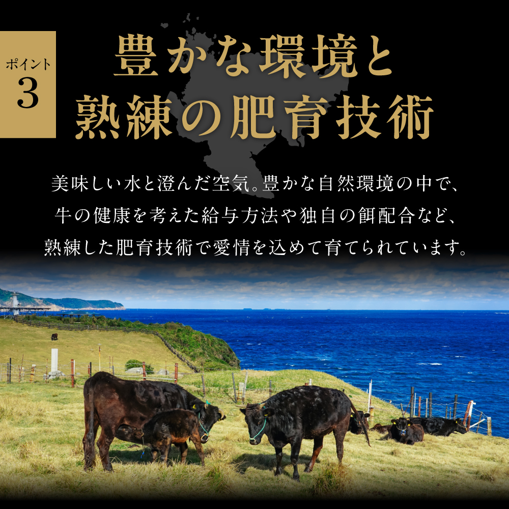 A5 A4 佐賀牛 いろいろ切り落とし  150g×4 小分け J536