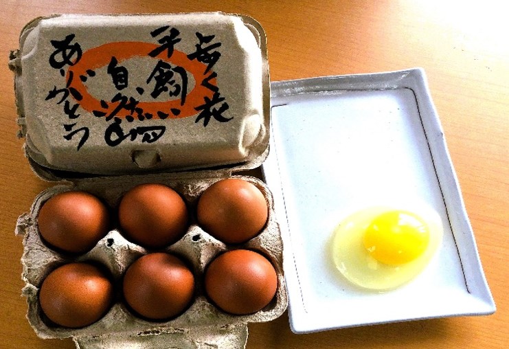 歩く花 たまご 卵 6個入り×2箱　2回定期便 999-B840