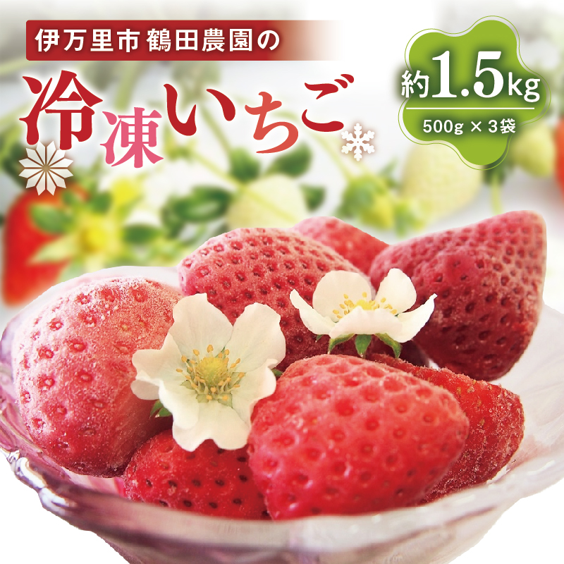 【数量限定】伊万里産急速冷凍いちご1.5kg　～鶴田農園～ B384
