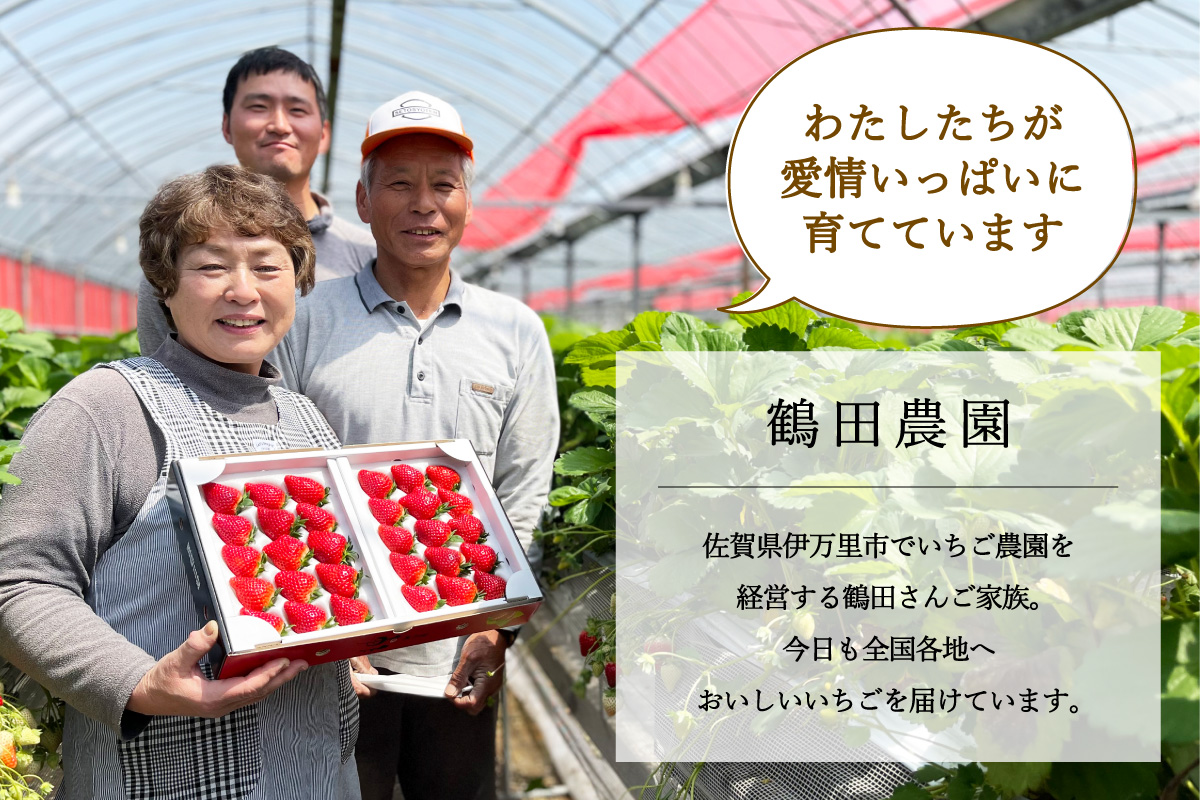 伊万里産「いちごさん」 250g×4 パック ～鶴田農園～ 046-B832