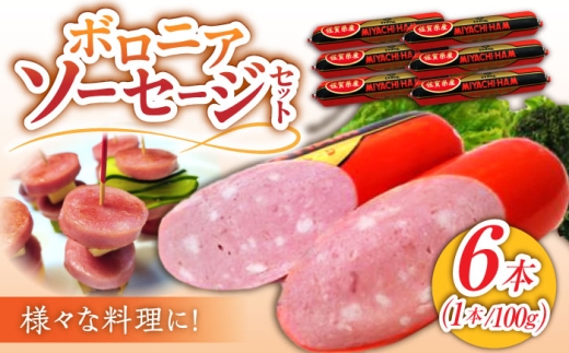 ボロニアソーセージ 600g（100g×6本）小分け 宮地ハム ソーセージ 国産 豚肉 肉 惣菜 使い切り おかず 弁当 朝食 おつまみ サラダ ランキング ロングセラー 大人気 |佐賀県 武雄市 /宮地ハム [UBM010]