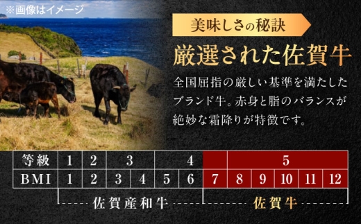 佐賀牛 切り落とし 1.2kg（600g×2p） /MKミート武雄 [UEM034]