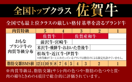 A4 A5ランク 佐賀牛 厚切り サーロインステーキ 380g (190g×2枚) /焼肉どすこい[UCC015] 牛肉 肉 ステーキ ロース