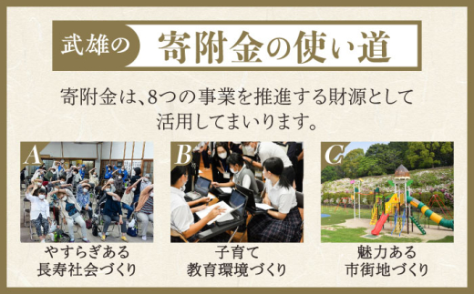【応援寄附金】佐賀県武雄市 まちづくり応援寄附金 返礼品なし（100,000円分） [UZZ108]