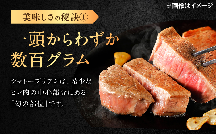 【12回定期便】佐賀牛 ヒレ シャトーブリアン 400g（200g×2枚） /MKミート武雄 [UEM015]