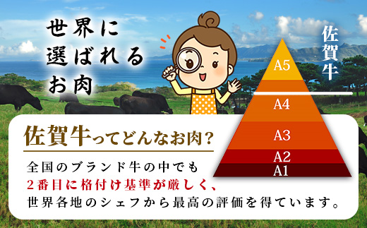 【定期便6回配送】＼極上のご褒美肉！／佐賀牛サーロインステーキ 200g×3枚 全6回配送 計3,600g｜A5・A4等級 厳選黒毛和牛 とろける霜降り 高級ステーキ 贈答 ギフト対応可 定期便 定期配送 国産牛 佐賀県鹿島市 送料無料 T-10