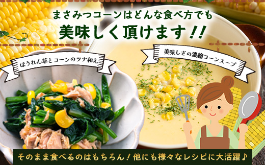 予約受付 スイートコーン （ゴールドラッシュ）9~10本 | 朝採れ 冷蔵発送 とうもろこし トウモロコシ コーン 野菜 高糖度 春 夏 旬 鹿島市産 佐賀県産 【2026年5月中旬～順次発送】佐賀県 鹿島市 人気 C-180