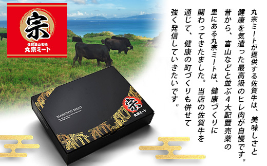 【定期便6カ月配送】＼極上のご褒美肉！／佐賀牛サーロインステーキ 200g×2枚 A5・A4等級 厳選黒毛和牛 とろける霜降り 高級ステーキ 贈答・ギフト対応可 国産牛 定期便 6カ月 佐賀県鹿島市 送料無料　N-26