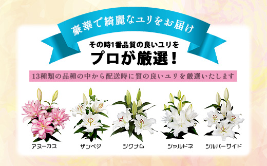 【生産者直送】【幸せと笑顔を届けるオリエンタルリリィ（約5本）】ユリ 百合 花 切り花 フラワー 艶やか 美しい 華やか 可憐 鮮やか 長持ち 強い 有機肥料 自然 人気 ラッピング プレゼント 贈り物 贈答 佐賀県 鹿島市 送料無料 D-278