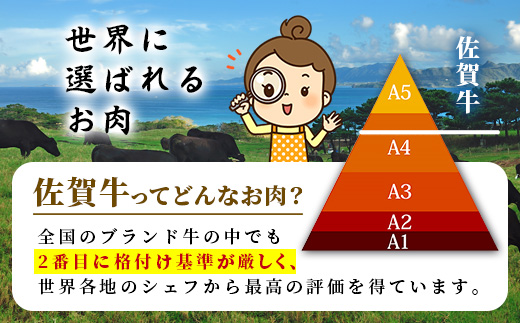 【定期便10カ月配送】＼とろける佐賀牛／【佐賀牛肩ローススライス1kg（500g×2パック）】小分けで便利 ブランド牛 霜降り 極上 高級肉 贅沢 すき焼き しゃぶしゃぶ 鍋 大容量 肉の甘み 柔らかい ギフトにも最適 定期便 10カ月 お中元 お歳暮　V-70