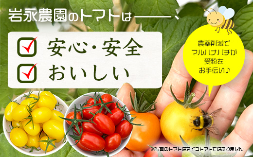 岩氞ããã¡ã® ã«ã©ãã« ããããã | ã¢ã€ã³èµ€ïœ¥é»MIX 2kg |ãèŸ²ææ°Žç£å€§è£è³åè³ãææ©è¥æã»ååŠè¥æäžäœ¿çš | çç£è
çŽé éè ããã 2kg ãšãŸãš ããããã ãµã©ã ããã æ¬ æ°é®® ãã〠ãåŒåœ äººæ° éæç¡æ äœè³ç é¹¿å³¶åž C-186