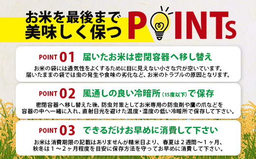 先行受付【3回定期便】令和8年産 新米 さがびより 10kg×3回 計30kg 佐賀県産 特A評価獲得品種 白米 米 お米 こめ 毎月お届け 定期便 佐賀県 鹿島市 J-36