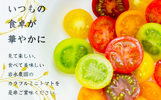 岩氞ããã¡ã® ã«ã©ãã« ããããã 5è² çŽ2kgïŒ1kgç®±Ã2ïŒ |ãèŸ²ææ°Žç£å€§è£è³åè³ãææ©è¥æã»ååŠè¥æäžäœ¿çš | çç£è
çŽé éè ããã 2kg ãšãŸãš ããããã ãµã©ã ããã æ¬ æ°é®® ãã〠ãåŒåœ äººæ° éæç¡æ äœè³ç é¹¿å³¶åž C-185