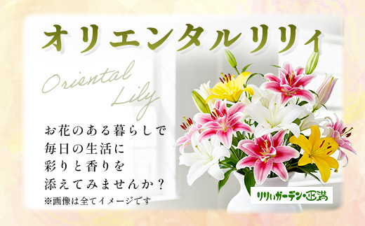 【生産者直送】【幸せと笑顔を届けるオリエンタルリリィ（約5本）】ユリ 百合 花 切り花 フラワー 艶やか 美しい 華やか 可憐 鮮やか 長持ち 強い 有機肥料 自然 人気 ラッピング プレゼント 贈り物 贈答 佐賀県 鹿島市 送料無料 D-278