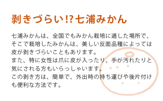 2回定期【訳あり】”やーらしか”鹿島産みかん 約6.5kg ×2回 【配送期日指定不可】佐賀県 鹿島市産 温州ミカン 旨み凝縮 小粒みかん B-714