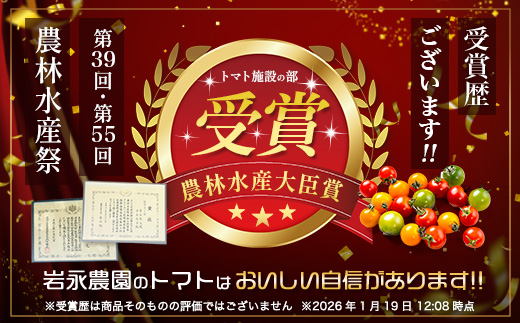 岩永さんちの カラフル ミニトマト | アイコ赤･黄MIX 3kg |【農林水産大臣賞受賞】有機肥料・化学肥料不使用 | 生産者直送 野菜 トマト 3kg とまと プチトマト サラダ やさい 旬 新鮮 おやつ お弁当 人気 送料無料 佐賀県 鹿島市 D-285