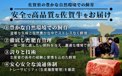 【定期便12カ月配送】＼極上のご褒美肉！／佐賀牛サーロインステーキ 200g×2枚 A5・A4等級 厳選黒毛和牛 とろける霜降り 高級ステーキ 贈答・ギフト対応可 国産牛 定期便 12カ月 佐賀県鹿島市 送料無料　V-71