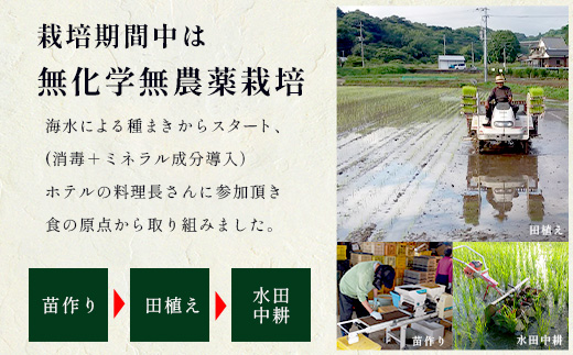 莉、蜥8蟷エ逕」 菴占ウ逵檎肇 螟「縺励★縺 10kg(5kgテ2陲具シ峨占コォ菴薙↓蜆ェ縺励>謇倶ス懊j蝨溷」後ョ螟「縺励★縺上代蝉サ、蜥8蟷エ蠎ヲ縲頑眠邀ウ縲句郁。御コ育エ縲第收譛ャ霎イ蝨 譛ャ豌励ョ縺顔アウ 迚ケA隧穂セ。迯イ蠕怜刀遞ョ 邀ウ 縺顔アウ 譁ー邀ウ 菴占ウ逵 鮖ソ蟲カ蟶 縺オ繧九&縺ィ 螟ァ閾ェ辟カ 螳牙ィ 螳牙ソ 貅雜ウ 鄒主袖縺励> 繧ェ繧ケ繧ケ繝。 譛鬮倩ゥ穂セ。 莠コ豌 騾∵侭辟。譁 F-93