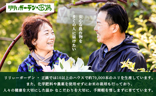 予約受付 スイートコーン （ゴールドラッシュ）9~10本 | 朝採れ 冷蔵発送 とうもろこし トウモロコシ コーン 野菜 高糖度 春 夏 旬 鹿島市産 佐賀県産 【2026年5月中旬～順次発送】佐賀県 鹿島市 人気 C-180