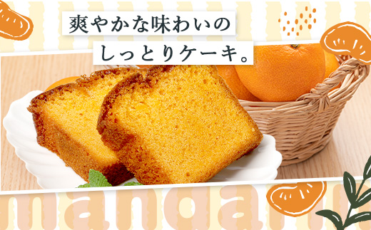 SAGAみかん、っ娘。ケーキ 3箱（合計12個入り）B-859 スイーツ ケーキ 焼き菓子 焼菓子 みかん ミカン 蜜柑 みかんケーキ ミカンケーキ お土産 ご当地スイーツ プレゼント ギフト おみやげ