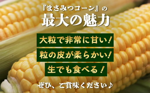 予約受付 スイートコーン （ゴールドラッシュ）9~10本 | 朝採れ 冷蔵発送 とうもろこし トウモロコシ コーン 野菜 高糖度 春 夏 旬 鹿島市産 佐賀県産 【2026年5月中旬～順次発送】佐賀県 鹿島市 人気 C-180