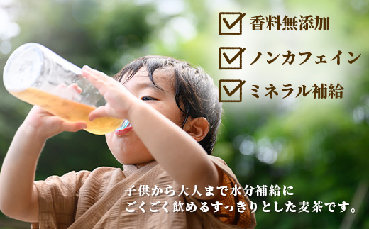 佐賀の麦茶 500ml×24本 6回 定期便 無添加 ･ 無香料 香ばしい 《佐賀県産大麦焙煎 》 自然派 ビタミンC 香料カフェインゼロ 飲み物 飲料 大麦 国産 佐賀県産 水分補給 お茶 茶 焙煎麦 すっきり たっぷり ケース 備蓄 備え 佐賀県 鹿島市 送料無料 I-45