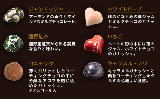 【匠の技】菓子工房 ひのでや てづくり ショコラ 20個 詰め合わせセット【シェフのこだわりと技術が詰まったチョコレート】 C-95