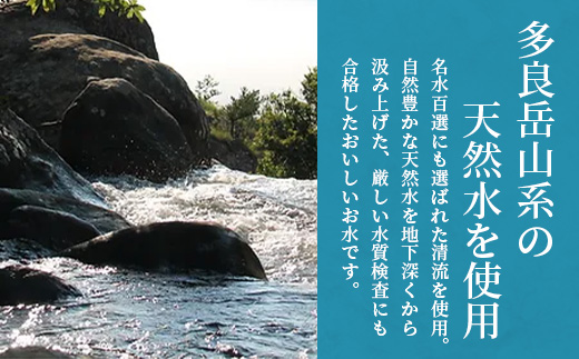 定期便 (6回定期便) さがん氷 かちわり氷 スティックアイス 10本×2セット 合計120本 G-70 藤津製氷 こおり 氷 ロック アイス 佐賀 鹿島 九州