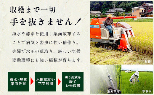 莉、蜥8蟷エ逕」 菴占ウ逵檎肇 螟「縺励★縺 10kg(5kgテ2陲具シ峨占コォ菴薙↓蜆ェ縺励>謇倶ス懊j蝨溷」後ョ螟「縺励★縺上代蝉サ、蜥8蟷エ蠎ヲ縲頑眠邀ウ縲句郁。御コ育エ縲第收譛ャ霎イ蝨 譛ャ豌励ョ縺顔アウ 迚ケA隧穂セ。迯イ蠕怜刀遞ョ 邀ウ 縺顔アウ 譁ー邀ウ 菴占ウ逵 鮖ソ蟲カ蟶 縺オ繧九&縺ィ 螟ァ閾ェ辟カ 螳牙ィ 螳牙ソ 貅雜ウ 鄒主袖縺励> 繧ェ繧ケ繧ケ繝。 譛鬮倩ゥ穂セ。 莠コ豌 騾∵侭辟。譁 F-93