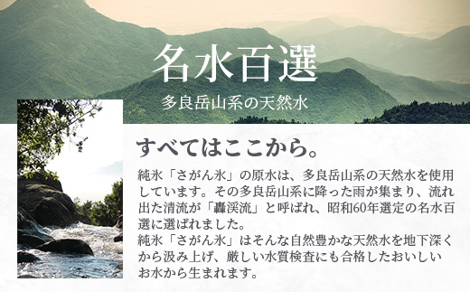 定期便 (6回定期便) さがん氷 かちわり氷 スティックアイス 10本×2セット 合計120本 G-70 藤津製氷 こおり 氷 ロック アイス 佐賀 鹿島 九州