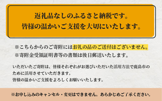 佐賀県鹿島市への寄付（返礼品はありません） 1口 10万円【返礼品なし】Z-20