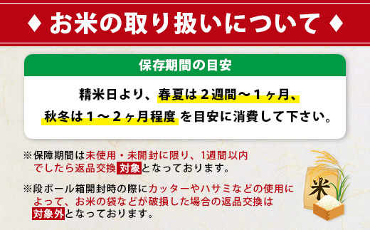 先行受付【6回定期便】令和8年産 新米 さがびより 5kg×6回 計30kg 佐賀県産 特A評価獲得品種 白米 米 お米 こめ 毎月お届け 定期便 佐賀県 鹿島市 J-37