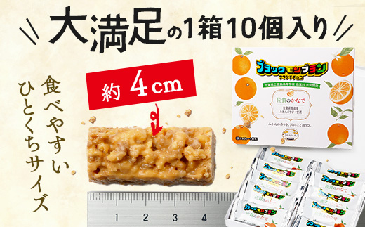 【鹿島高校 商業科 共同開発】みかん クランチチョコ 佐賀のかなで 鹿島産みかんパウダー使用 5箱（10本入×5箱）佐賀 鹿島 チョコレート ご当地スイーツ D-286