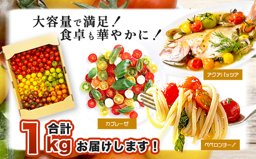 岩氞ããã¡ã®ã«ã©ãã«ããããã çŽ1kgïŒ5è²ïŒãèŸ²ææ°Žç£å€§è£è³åè³ãææ©è¥æã»ååŠè¥æäžäœ¿çšïœçç£è
çŽé éè ãšãŸãš ãµã©ã ãã〠ãåŒåœã«ã å¥åº·å¿å å®å¿å®å
š äººæ° ã1æé ããé
ééå§ãB-823