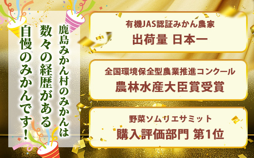 みかんを使ったドライフルーツ (ひと房) 100g　｜佐賀県 鹿島市 みかんドライフルーツ みかん ドライフルーツ 無添加 有機 国産 ドライみかん 無添加 おやつ 砂糖不使用 オーガニック 体にやさしい お菓子 子供 安心 妊婦 美容 高齢者｜　A-206