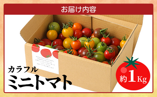 ãå
è¡äºçŽã ãã«ãã¡ãã¡ãŒã ã«ã©ãã«ããããã çŽ1kg ãRicotomato ãšããã«ãªããããã B-280