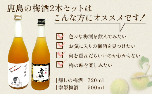 【梅酒セット】鹿島の梅酒2本セット 【光武 癒しの梅酒 720ml 1本】・【幸姫梅酒 500ml 1本】B-811