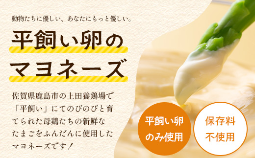 ＼濃厚卵のマヨネーズ／瓶詰め マヨネーズ 3本セット | 上田養鶏場のこっこの陽なたマヨ 170g | マヨネーズ マヨ 調味料 たまご 平飼い お料理 安心 安全 玉子 サラダ ディップ ポテトサラダ ドレッシング 送料無料　B-812