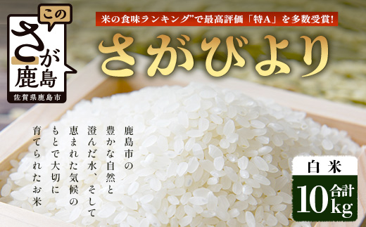 【鹿島市産】＼生産者直送／ さがびより 白米10kg　さがびより 佐賀県産さがびより 佐賀県鹿島市 お米 米 精米 玄米 ふるさと納税 お米 ご家庭用米 主食ギフト 美味しいお米 お取り寄せ 贈答用米 食卓応援　D-250