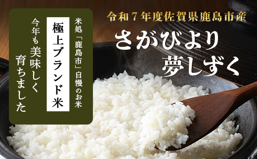 令和7年産 鹿島市産 [さがびより or 夢しずく] 2kg 1袋 【品種指定不可】 精米 白米 小分け 少量 低容量 A-226