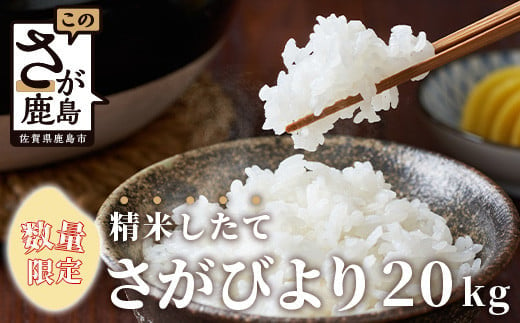 D-105【数量限定】令和５年産 佐賀県鹿島市産 さがびより 白米20kg お米マイスターセレクト！