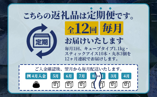 定期便 (12回定期便) さがん氷 バラエティセット 【キューブタイプ1.1kg・スティックアイス10本・丸氷3個】L-54 藤津製氷 こおり 氷 ロック アイス 佐賀 鹿島 九州