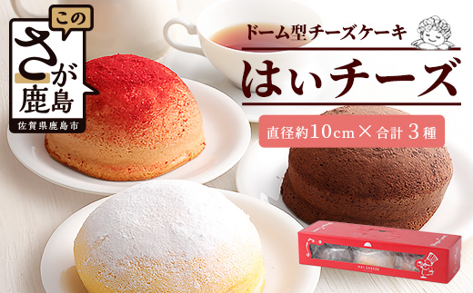 ふわふわのドーム型ケーキ「はいチーズ」3種セット チーズケーキ お祝い パーティ 年始 年賀 大晦日 年末 贈り物 プレゼント 贈答 スフレ チョコケーキ イチゴケーキ 3種 セット プレーン B-308