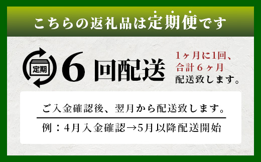 工場直送！うれしの茶 500ml×24本入 《6回 定期便》箱買い セット お茶 飲料 緑茶 飲み切りサイズ うれしの 嬉野茶 ペットボトル 24本入り 500ml ストック ギフト 贈り物 贈答 お中元 お歳暮 季節の変わり目 旬 備蓄 備え 佐賀県 鹿島市 J-35