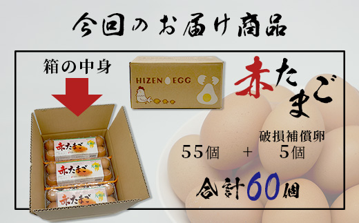 【鹿島市産のたまご】肥前のおいしい赤たまご　６０個（５５個＋破損補償５個入り）　B-711　佐賀県鹿島市