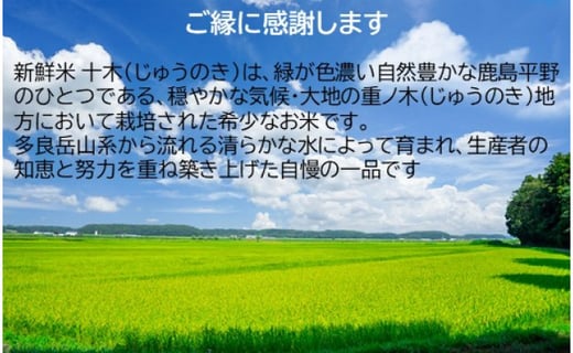 H-18 肥前の国 新鮮米 十木（さがびより）10kg×2か月定期便