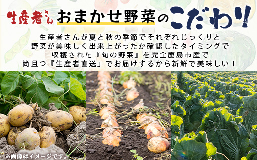 【生産者直送】鹿島市産　生産者おまかせ野菜２回定期便（夏５月～７月、秋９～１１月）　B-739