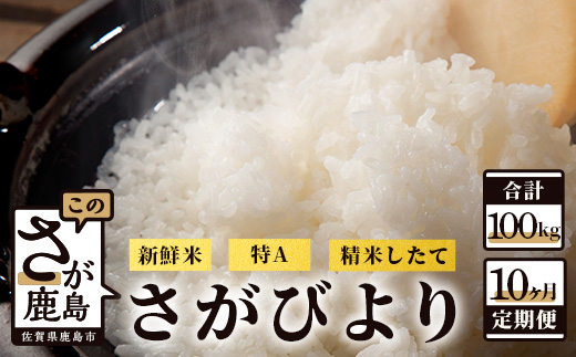 Q-3【新鮮米】佐賀県鹿島市産さがびより 白米10kg（5kg×2）定期便（１０か月お届け）