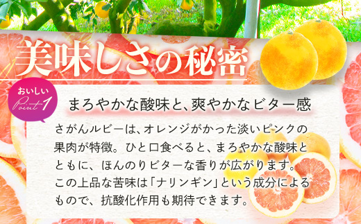 数量限定【先行予約】日本初！幻の国産グレープフルーツ！【さがんルビー 5kg（中玉12～16個）】メディアも注目◆ジューシー柑橘｜柑橘 果物 フルーツ 生産者直送の安心品質 【3月下旬頃より順次発送予定】佐賀県 鹿島市 送料無料 B-2